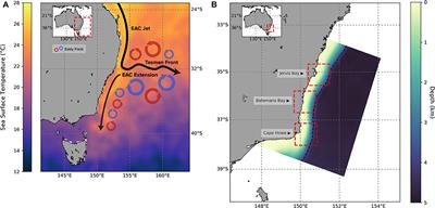 A Water Mass Classification Approach to Tracking Variability in the East Australian Current